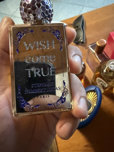 Wish come true - wish,